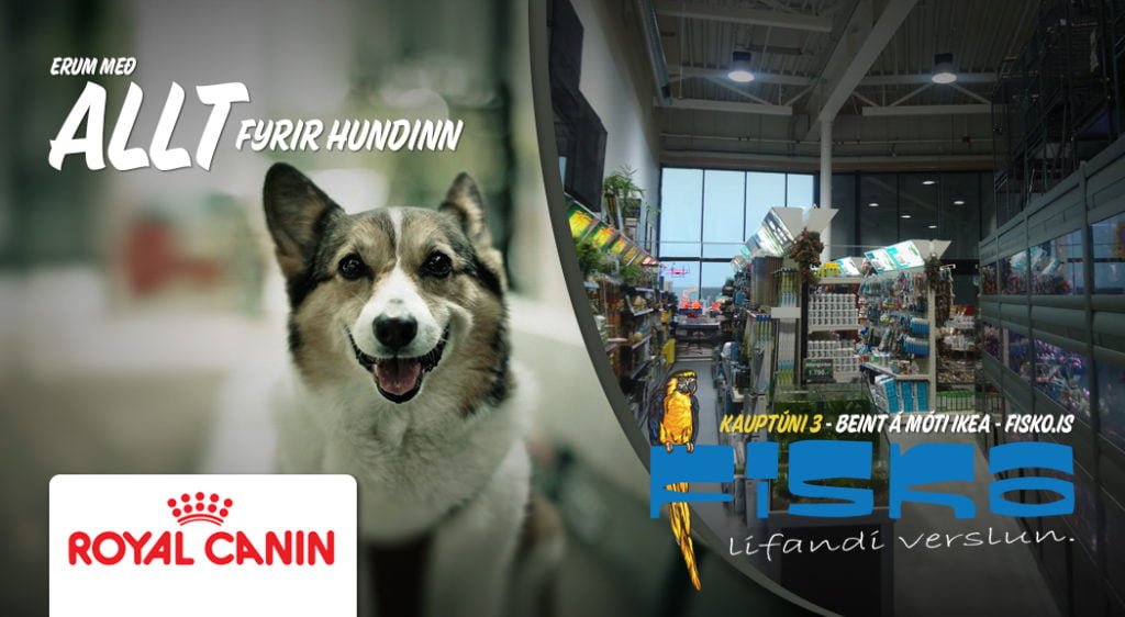 Gæludýrabúðin Fiskó ehf