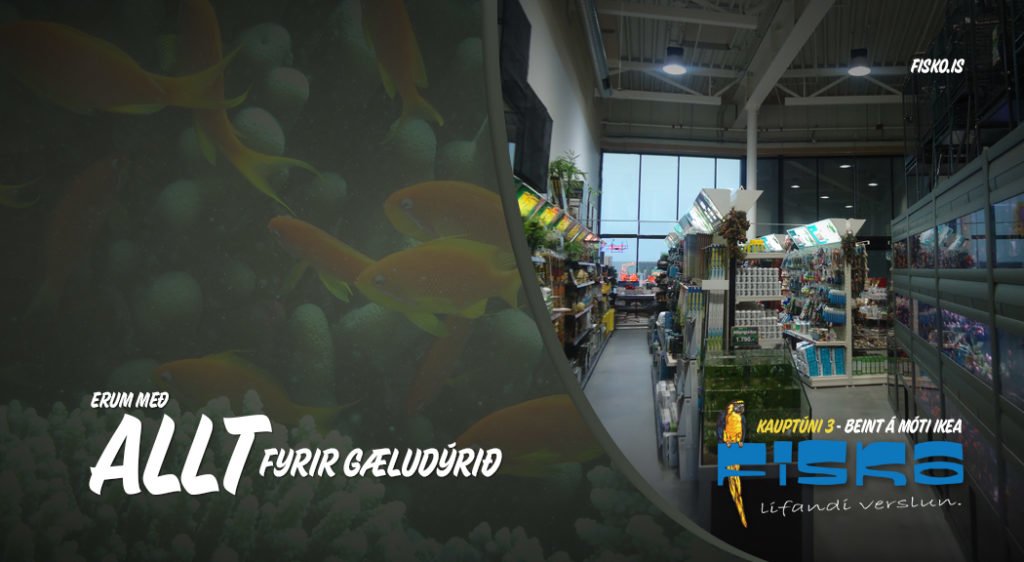 Gæludýrabúðin Fiskó ehf