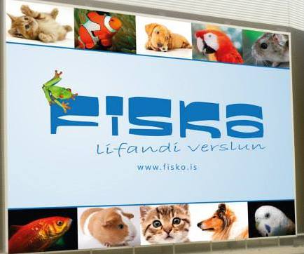 Gæludýrabúðin Fiskó ehf