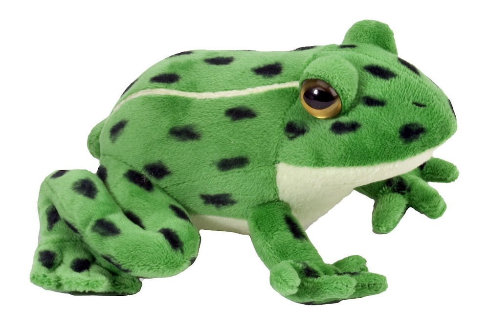 Gæludýrabúðin Fiskó ehf
