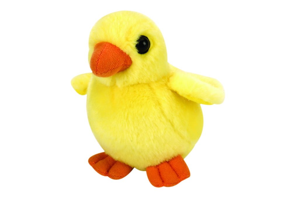Gæludýrabúðin Fiskó ehf