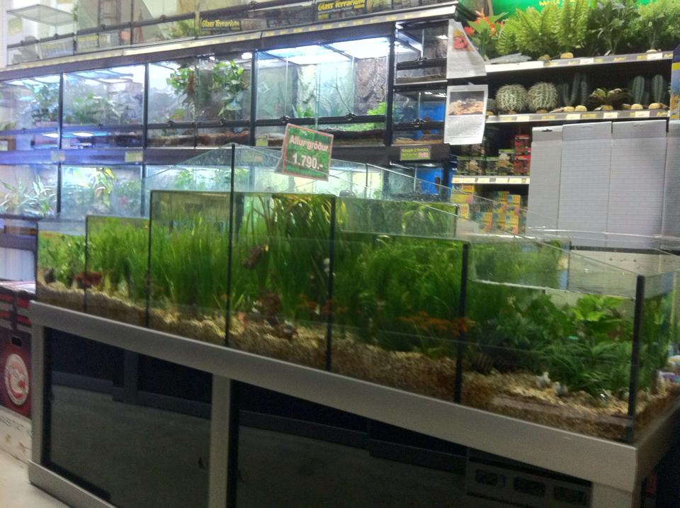 Gæludýrabúðin Fiskó ehf