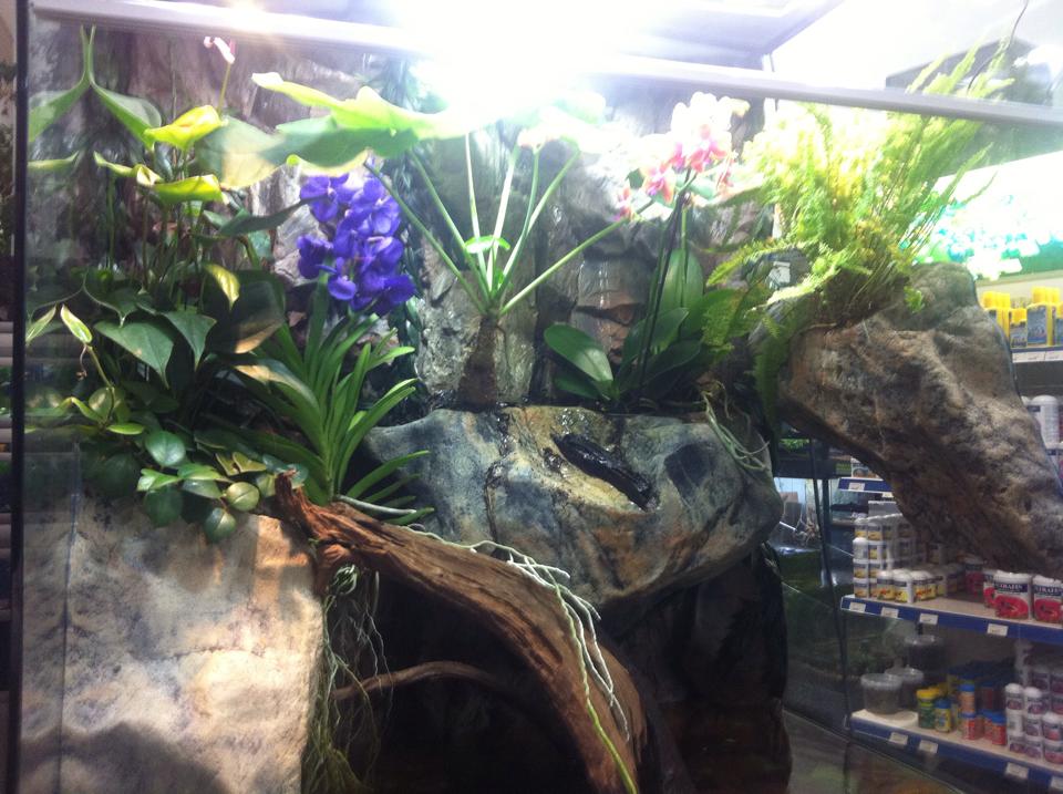 Gæludýrabúðin Fiskó ehf