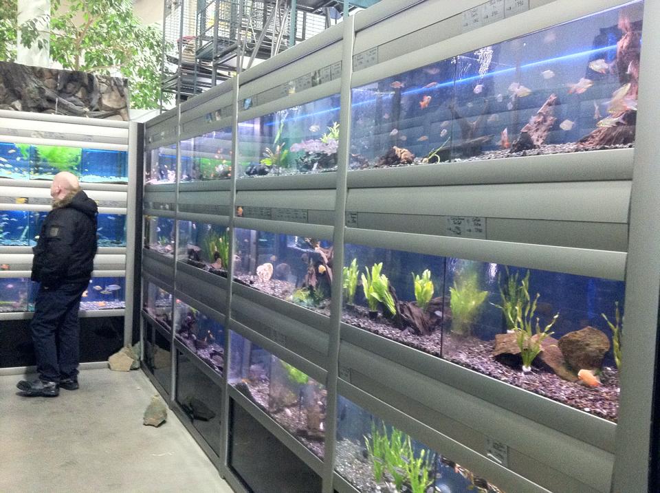 Gæludýrabúðin Fiskó ehf