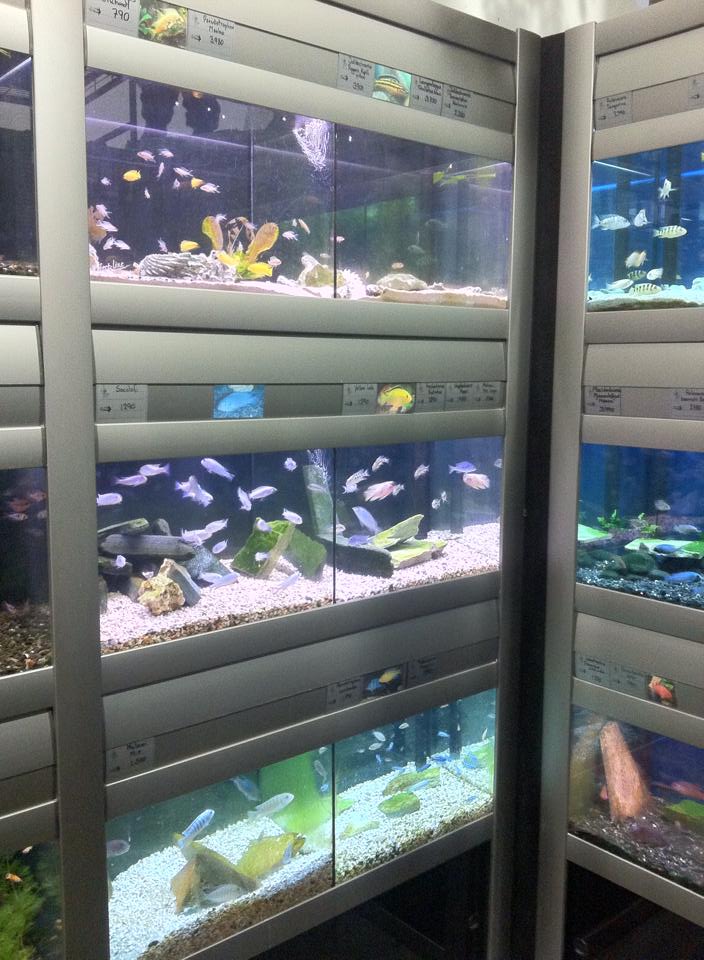 Gæludýrabúðin Fiskó ehf