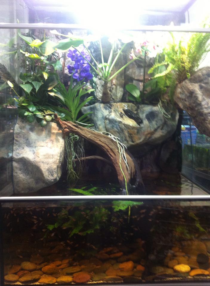 Gæludýrabúðin Fiskó ehf