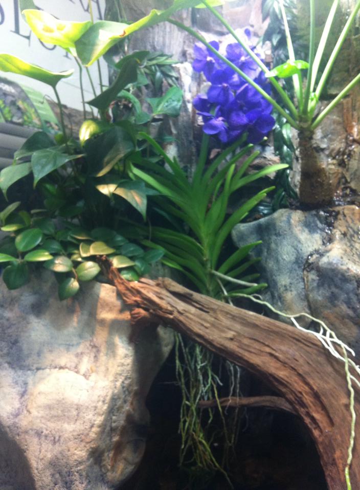 Gæludýrabúðin Fiskó ehf