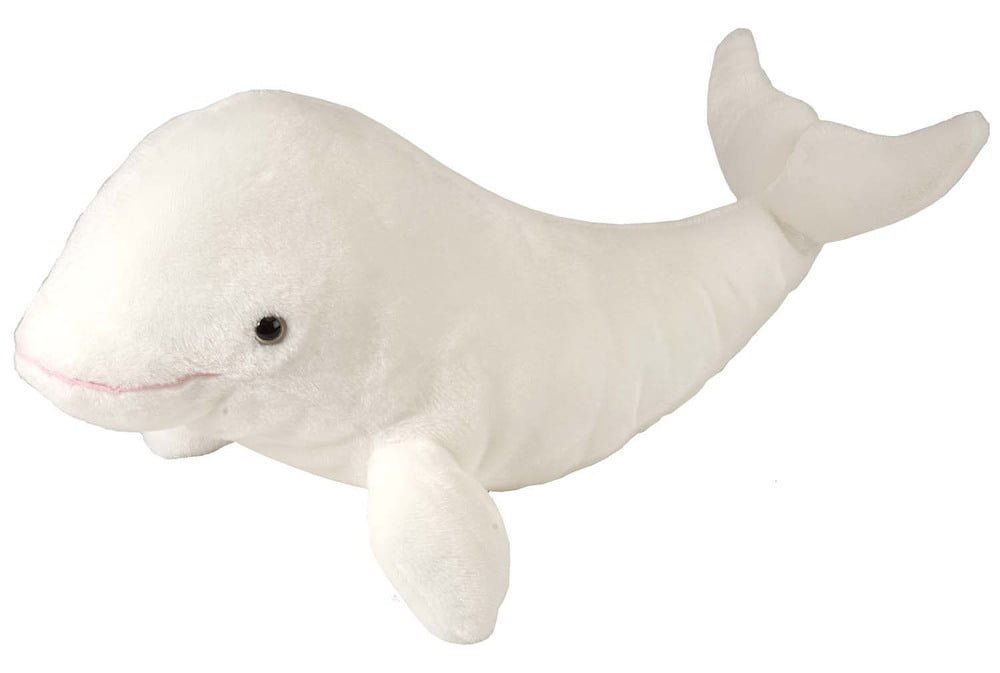 Gæludýrabúðin Fiskó ehf