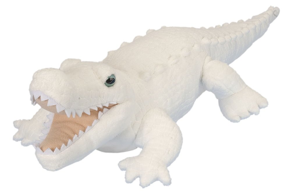 Gæludýrabúðin Fiskó ehf