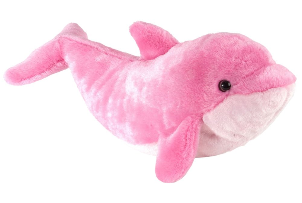 Gæludýrabúðin Fiskó ehf