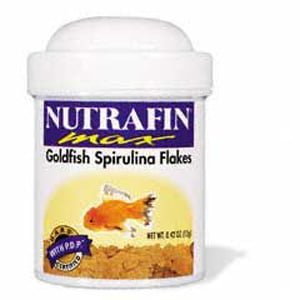 Gæludýrabúðin Fiskó ehf