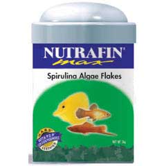 Gæludýrabúðin Fiskó ehf