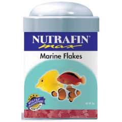Gæludýrabúðin Fiskó ehf