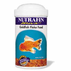 Gæludýrabúðin Fiskó ehf