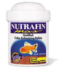 Gæludýrabúðin Fiskó ehf