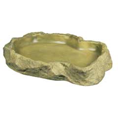 Gæludýrabúðin Fiskó ehf
