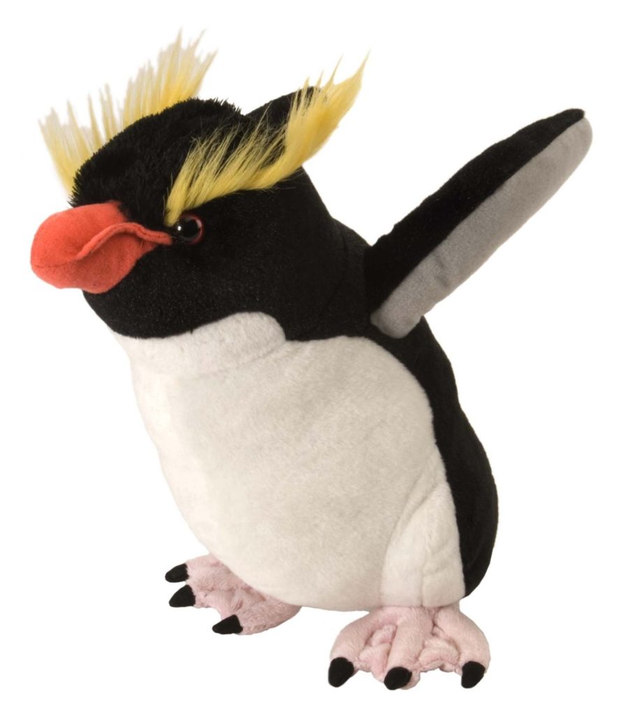 Gæludýrabúðin Fiskó ehf