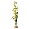 Exo Terra Spider Orchid