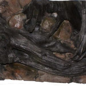 Bakgrunnur AMASON 100 x 50cm
