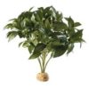 Exo Terra Laurel Bush