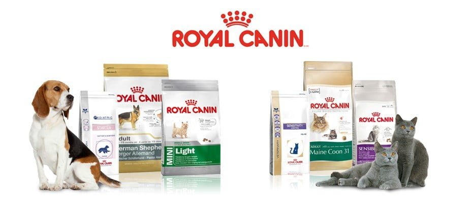 Gæludýrabúðin Fiskó ehf