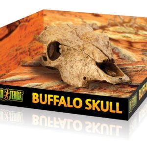 Exo-Terra Buffalo Skull