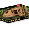 EX T-Rex Skull