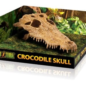 Exo-Terra Crocodile Skull
