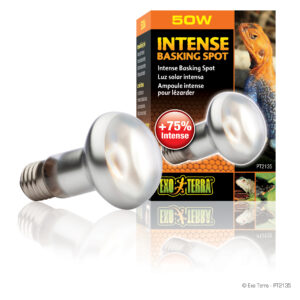 EX Intense Basking Spot