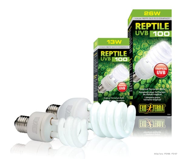 Reptile UVB100